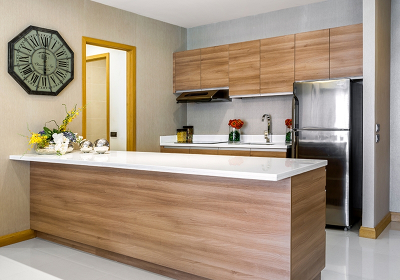 Real Estate Property Developers in the Philippines Ortigas Land